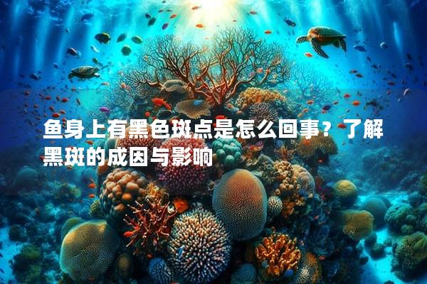 鱼身上有黑色斑点是怎么回事？了解黑斑的成因与影响