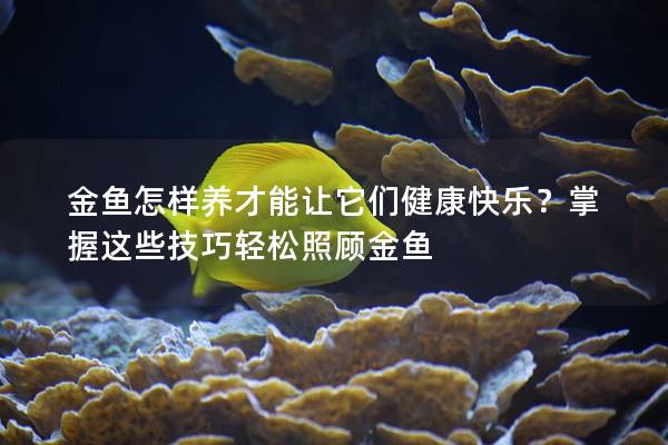 金鱼怎样养才能让它们健康快乐？掌握这些技巧轻松照顾金鱼