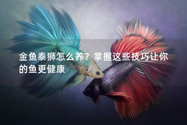 金鱼泰狮怎么养？掌握这些技巧让你的鱼更健康