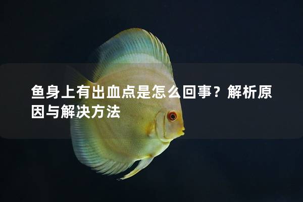 鱼身上有出血点是怎么回事？解析原因与解决方法