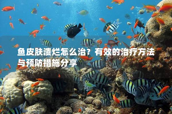 鱼皮肤溃烂怎么治？有效的治疗方法与预防措施分享