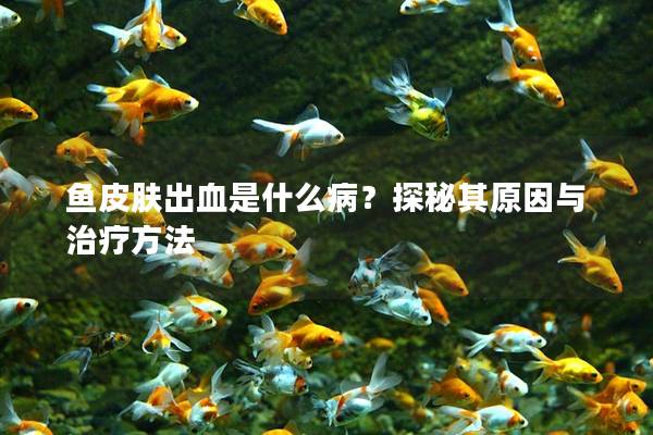 鱼皮肤出血是什么病？探秘其原因与治疗方法