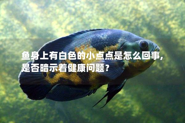 鱼身上有白色的小点点是怎么回事,是否暗示着健康问题？