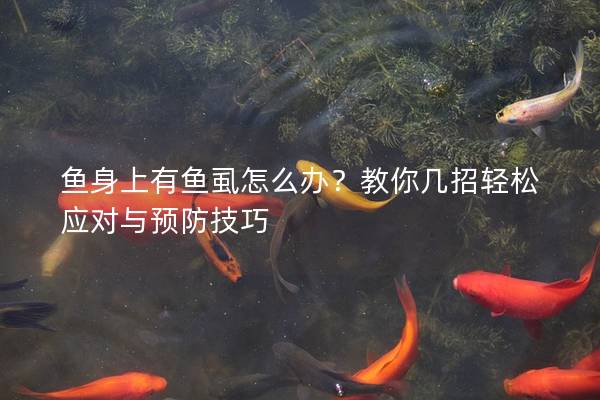 鱼身上有鱼虱怎么办？教你几招轻松应对与预防技巧