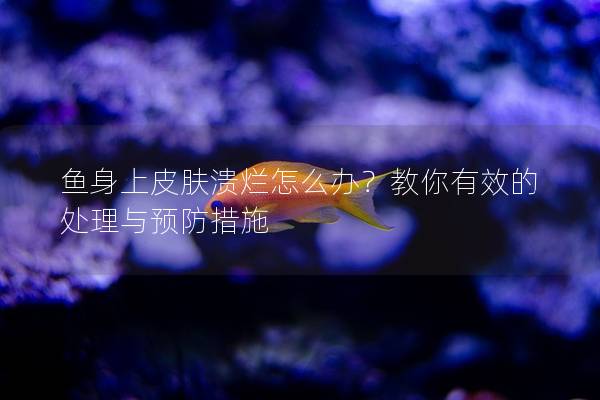 鱼身上皮肤溃烂怎么办？教你有效的处理与预防措施